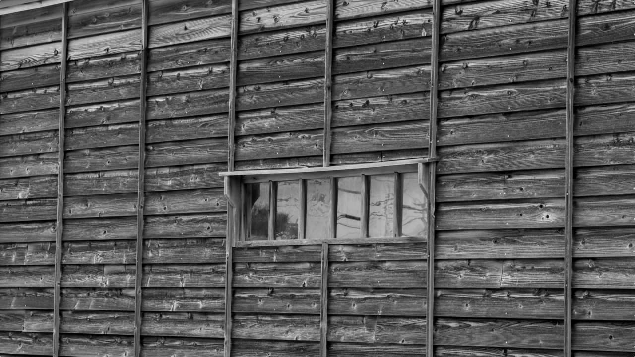 木材を使ったファザード外観の例